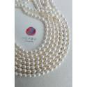 淡水珍珠-米粒(白色)約5x6mm(A) (15入)[BA1K105A6]